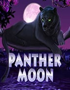 วิธีเล่น เกม bonanzapgslot 22 สนุกและง่ายๆ